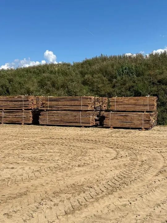 Rząd pakietów tarcicy dębowej na piaszczystym placu