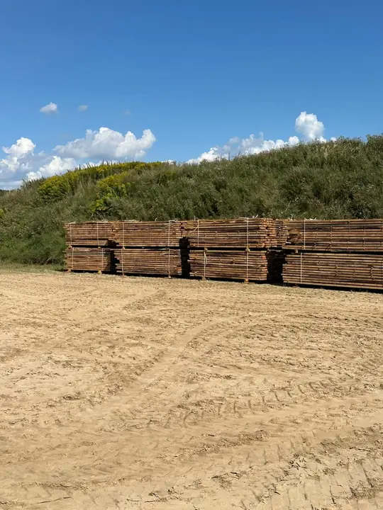 Rzędy pakietów tarcicy dębowej na placu