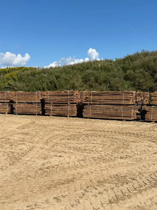 Rzędy pakietów tarcicy dębowej na placu